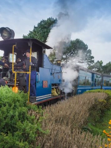 Toy Train Ride in Darjeeling